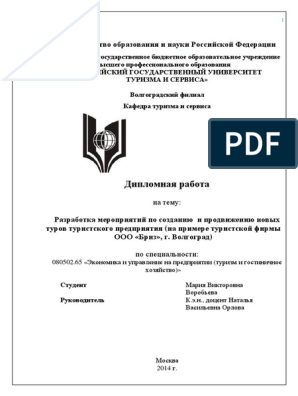 Курсовая работа по теме Разработка стратегии выхода компании ООО 'Инна Тур' на внешний рынок